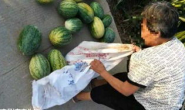 固安吃瓜最新事件爆料,最新爆料揭秘幕后真相